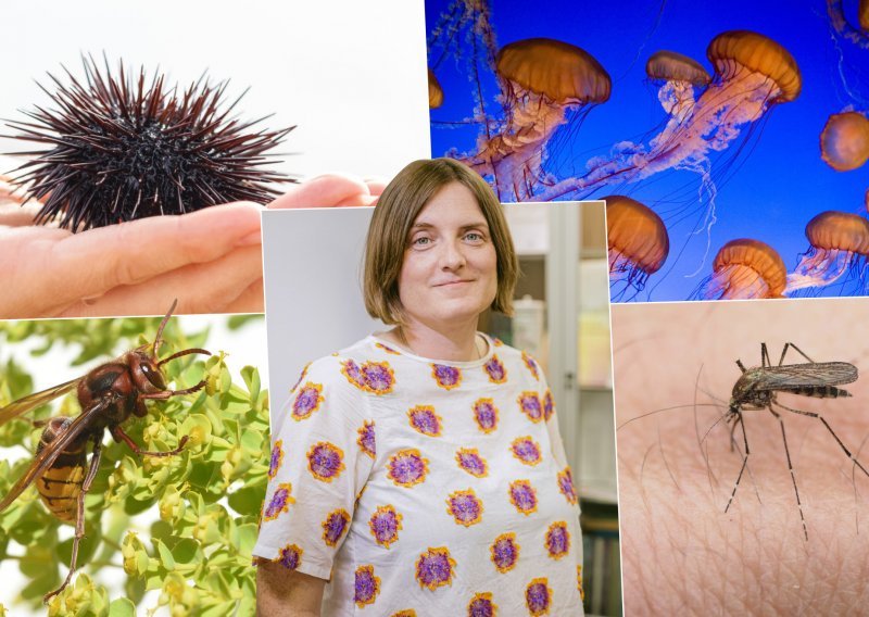 Opekline, meduze, insekti... Kako izbjeći bolne posljedice ljetnih nezgoda?
