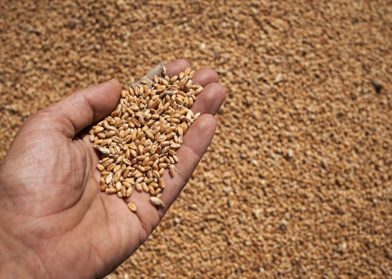 Rumunjska ne žele nezadovoljstvo poljoprivrednika zbog ukrajinskih žitarica