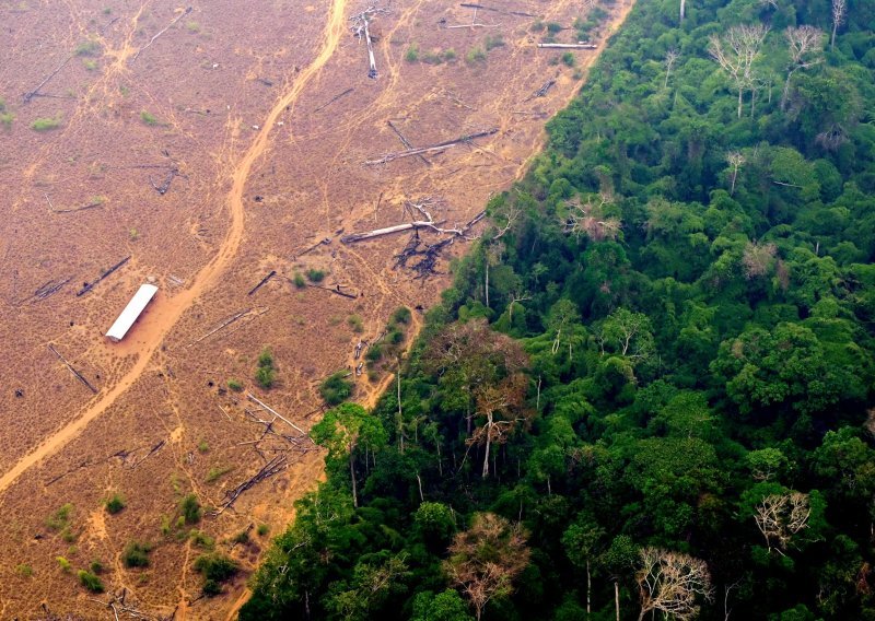 'Ako se ne zaustavi krčenje šuma doći će do katastrofe, rijeke već sad presušuju'