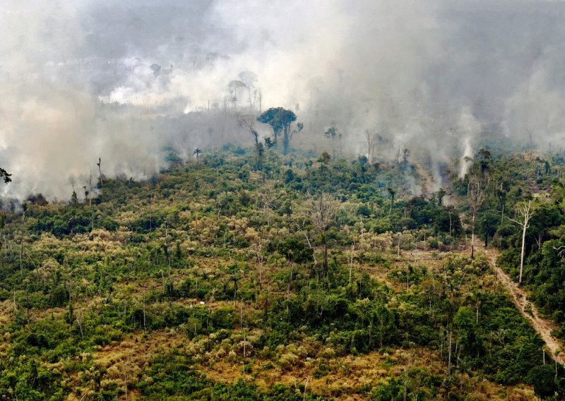 Prvi put u 14 godina sastaju se države amazonske prašume