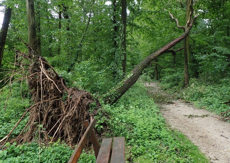 U parku Maksimir oštećeno oko 400 stabala, nije siguran za posjetitelje
