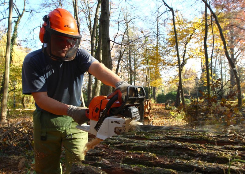 U Lici nestašica ogrjevnog drva, ispunjeno tek 42 posto narudžbi