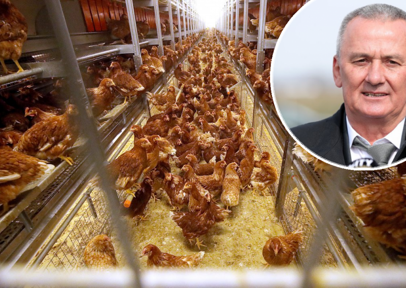 Lukač mora usmrtiti 52 tisuće kokoši. Za sve optužuje Inspektorat i konkurenciju