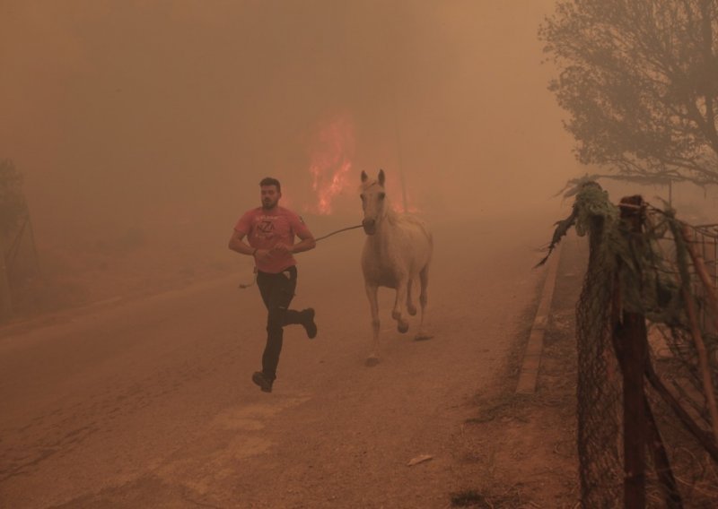 Strava u Grčkoj: U izgorenoj šumi pronađeno 18 leševa; Vatra hara Španjolskom i Italijom