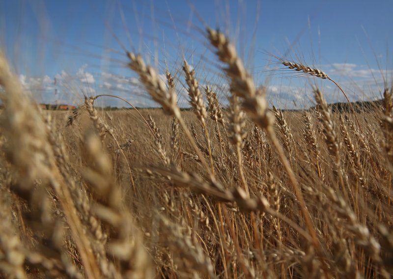 Rusija napala žitna postrojenja u ukrajinskom Podunavlju