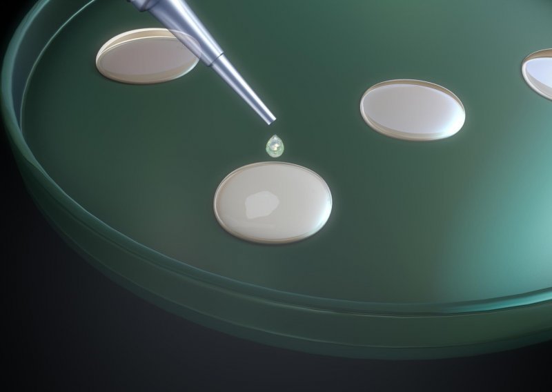 Stvoren prvi umjetni 'embrij' miša iz matičnih stanica