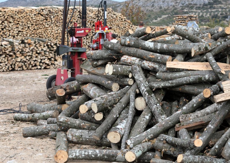 Zašto u šumovitoj Hrvatskoj vlada nestašica drva za ogrjev?