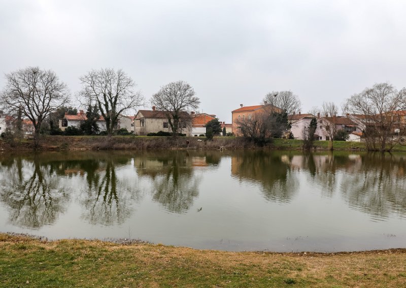 Pomor ribe u Medulinskoj lokvi: Struka zabrinuta, ali i vidi u tome i pozitivnu stvar