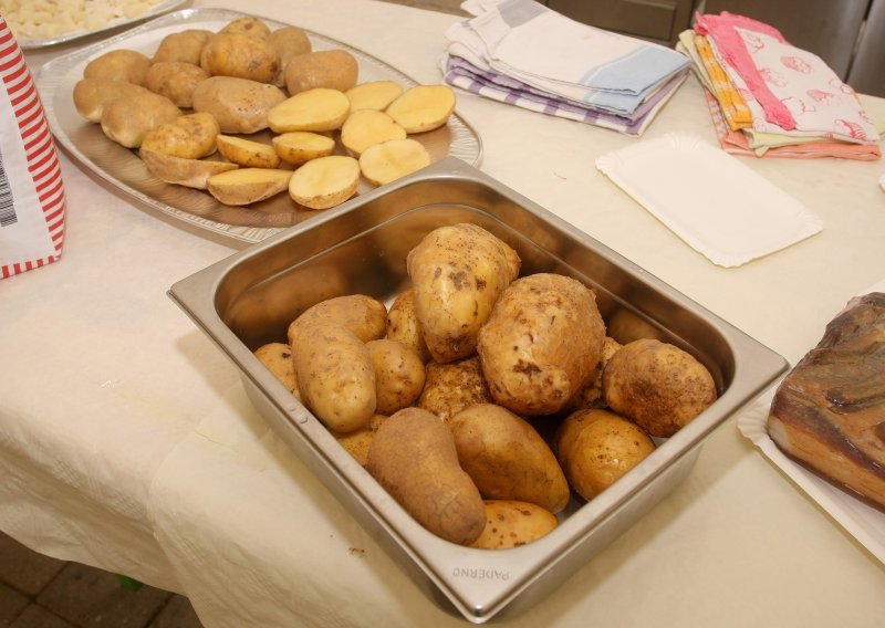 Berba krumpira u Lici: Dobro je rodio i odlične je kvalitete