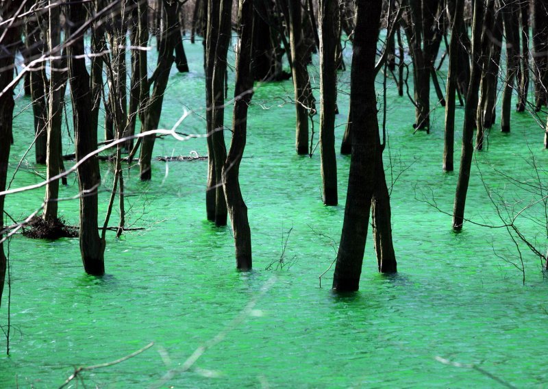 Jezero Ponikve osvanulo u tirkizno zelenoj boji