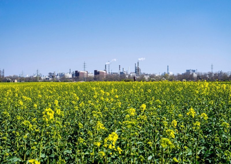 Njemačke kompanije bježe u inozemstvo: Klimatski ciljevi će uništiti industriju!