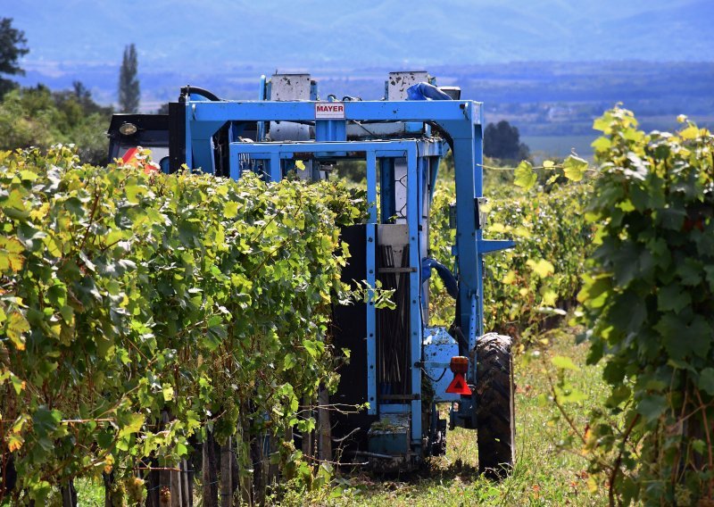 Europska komisija ove godine očekuje slabiju proizvodnju vina