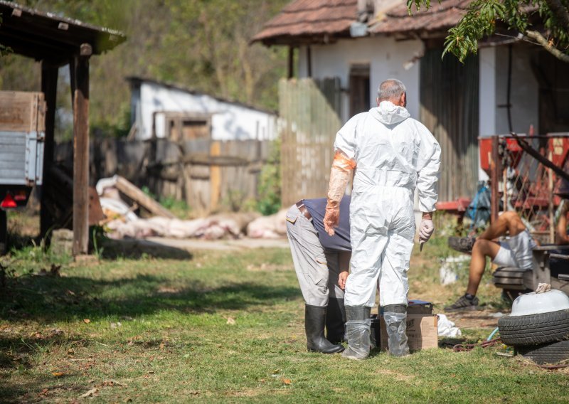 Vlasnicima eutaniziranih svinja isplaćeno 3,44 milijuna eura