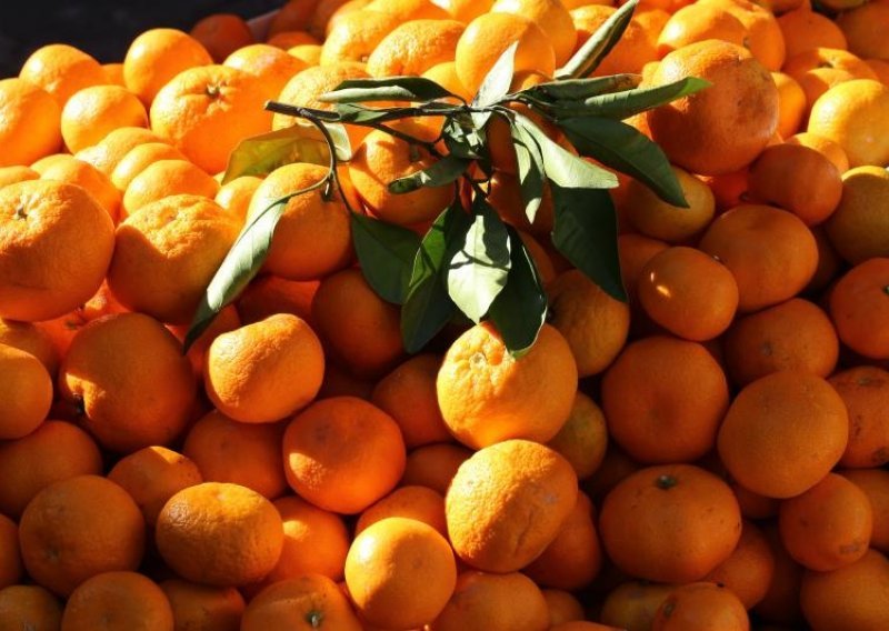 Picula i Ruža Tomašić stali u zaštitu proizvođača mandarina