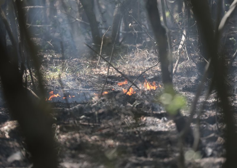 Ove godine najmanji broj požara od 2014.; sačuvano 91 posto hektara šume više od prosjeka
