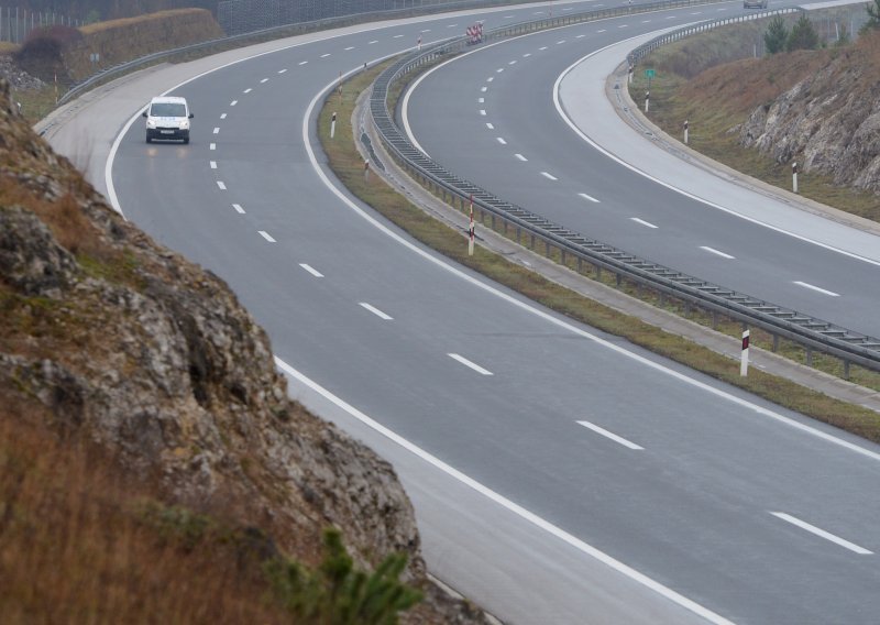 Medvjed ometa promet na djelu A1 između čvorova Ogulin i Brinje