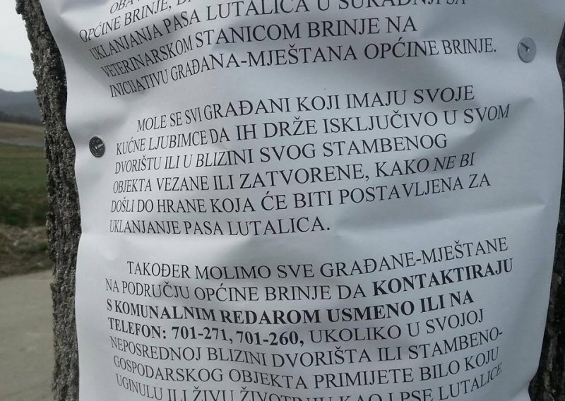 Općina Brinje ispričala se za akciju uklanjanja pasa lutalica