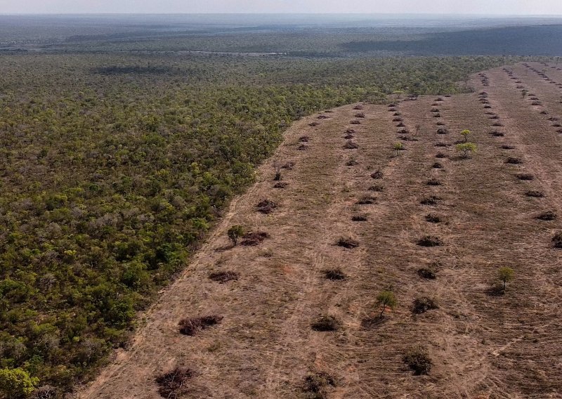 Prvi put u četiri godine usporila deforestacija Amazonije