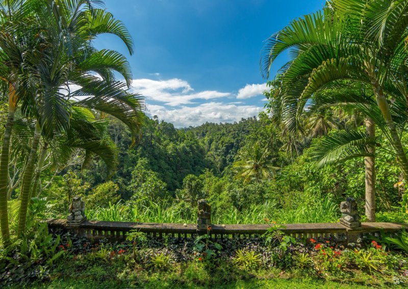 U Indoneziji pronađen sisavac koji nije viđen više od 60 godina