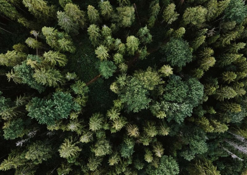 Klimatska kriza u fokusu: Nužan zaokret ka održivoj budućnosti