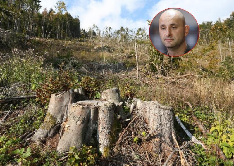 'Naredba ministra o sječi šume osuđena je na neuspjeh'