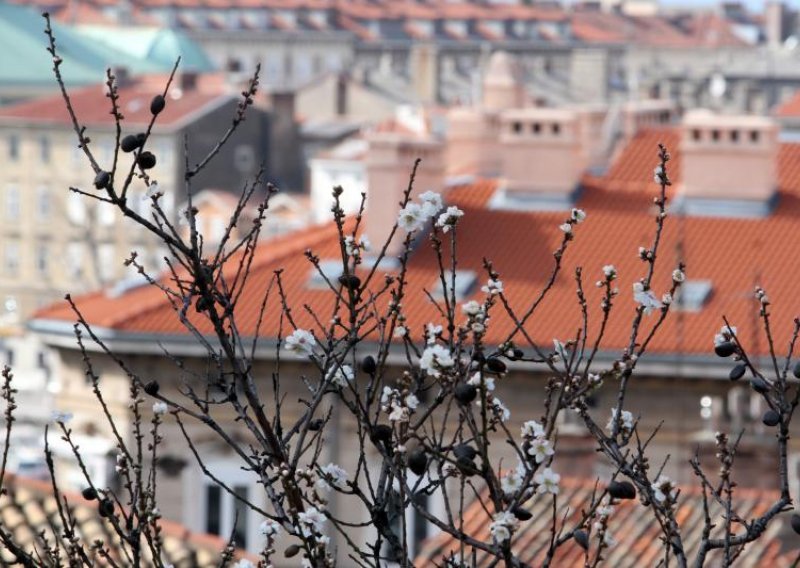 Krajem tjedna stiže prvi proljetni val