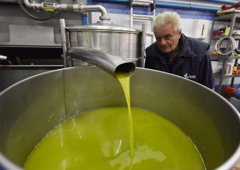 Maslinovo ulje nije se nikad više kralo i krivotvorilo, stručnjaci: 'Bit će još gore!'