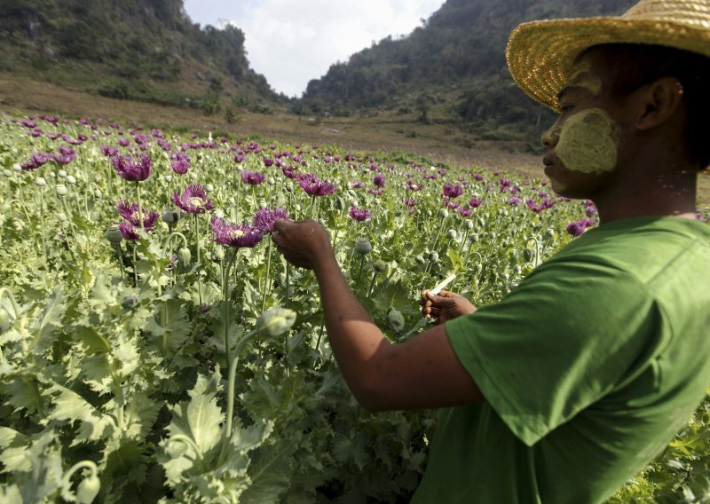 Afganistan više nije glavni svjetski proizvođač opijuma, evo tko ga je zamijenio