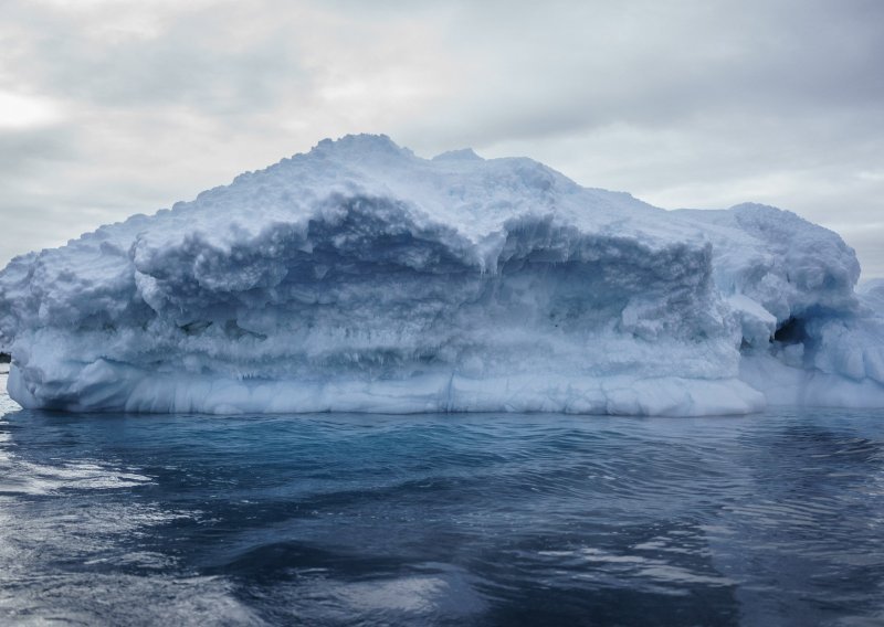 DNK hobotnice otkrio tragove otapanja leda na Antarktici prije 120.000 godina