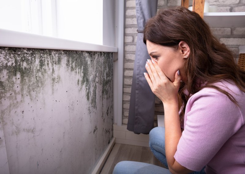 Pojavljuju vam se vlaga i plijesan na zidovima? Trebate učiniti ovo