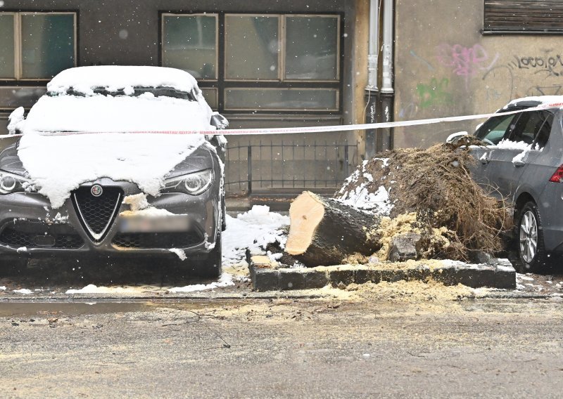 Snijeg izazvao kaos na ulicama Zagreba; palo 21 stablo