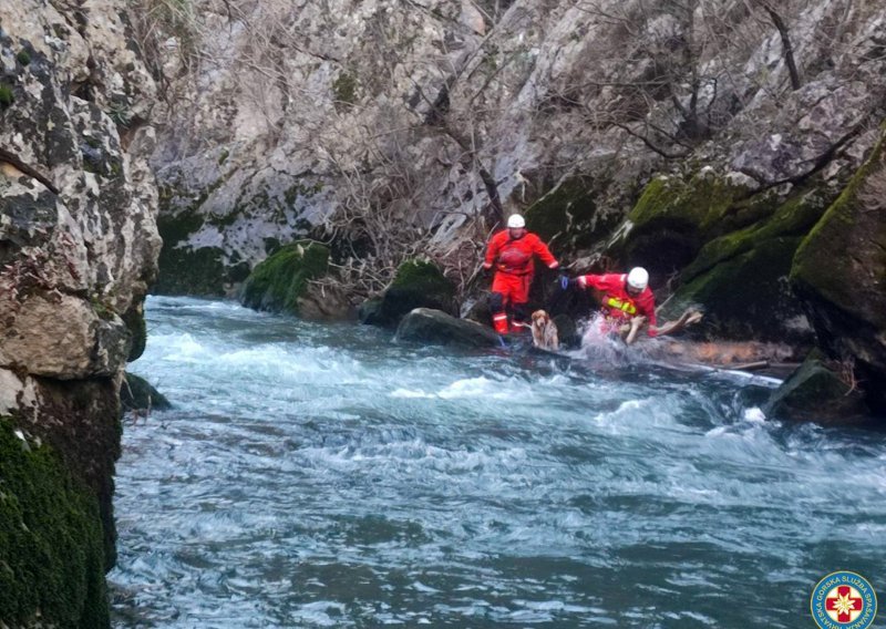 HGSS-ovci spasili psa iz kanjona rijeke Čikole: 'Nadamo se da će ga netko udomiti'