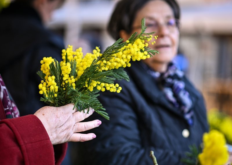 Crne statistike: Svaki treći dan jedna žena umre od raka vrata maternice