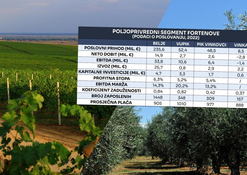 Fortenova traži kupca agrobiznisa: Analiziramo brojke, motive i potencijalne kupce