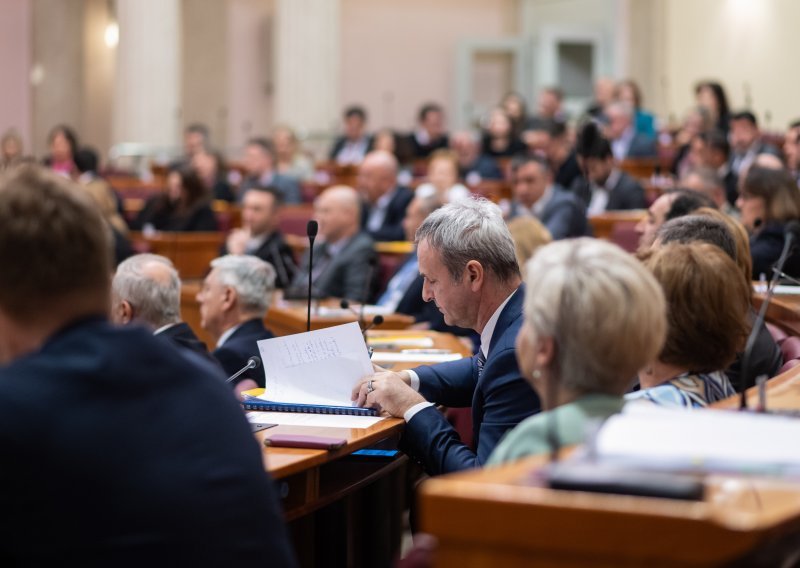 Zastupnici žustro o šumama: Izvozimo sirovinu, uvozimo namještaj