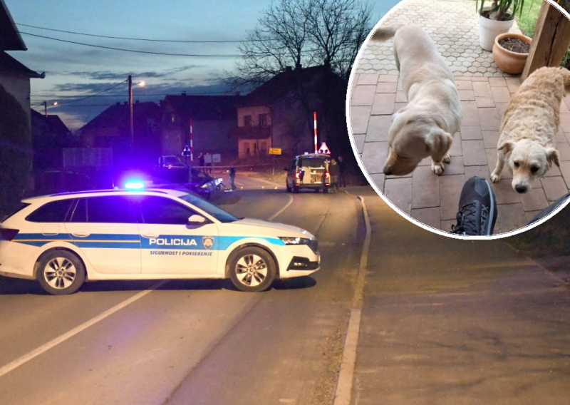 Policija traži čovjeka koji je usmrtio dva psa: 'Svakog su dočekivali mašući repom'