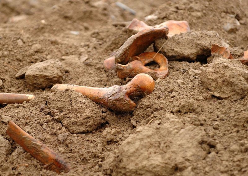 'Postojala je namjera Srbije da se izvede genocid'