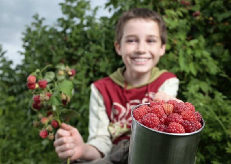 Maline za djecu leptire