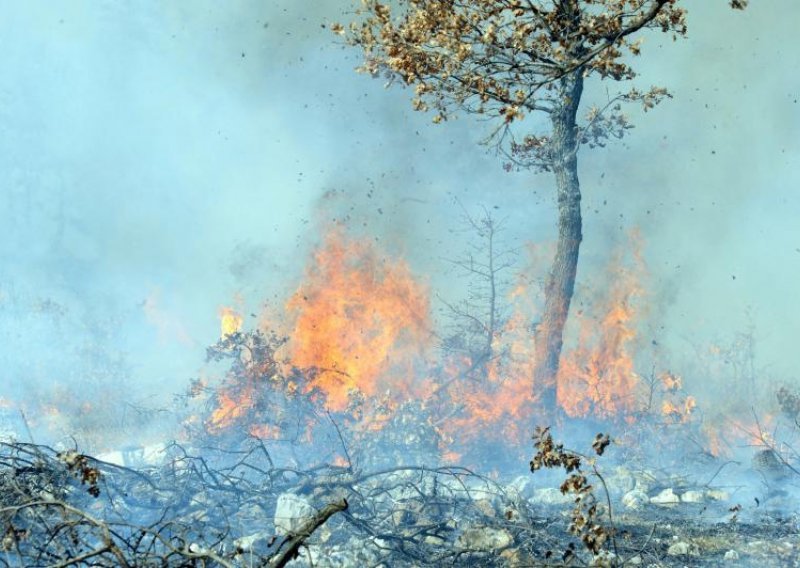 Požari u južnoj Dalmaciji