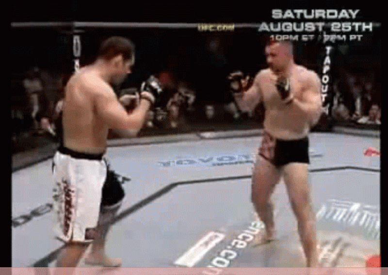 Cro Cop preživio najbolji nokaut svih vremena