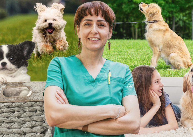 Želite psa? Veterinarka daje odgovore na ključna pitanja koja si trebate postaviti