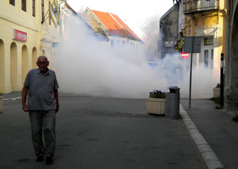 Vukovarci će lakše disati ovog ljeta, krenula prva runda obračuna s komarcima
