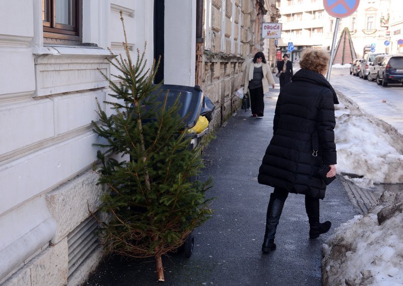 Gdje sve možete odložiti stara božićna drvca