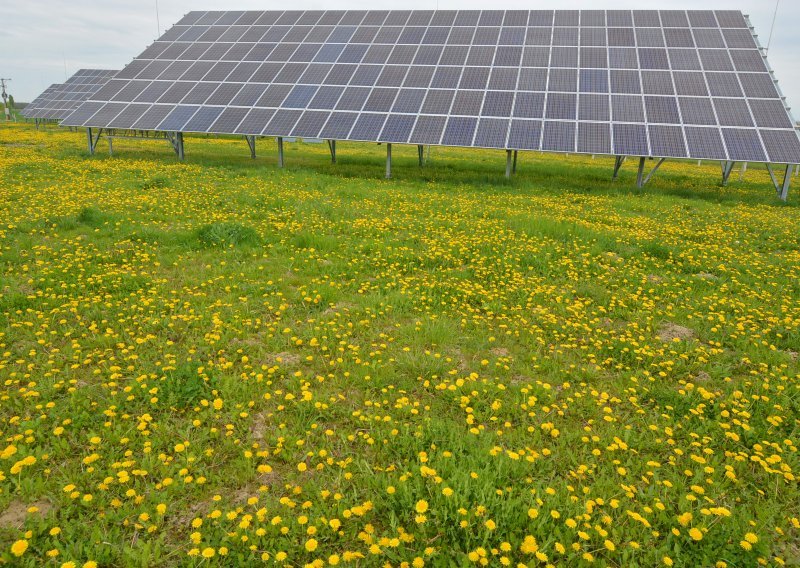 Italija priprema zabranu solarnih ploča na poljoprivrednom zemljištu