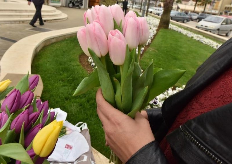 SDP-ovke u velikoj akciji 'Omiljeni cvijet Ane Rukavine'