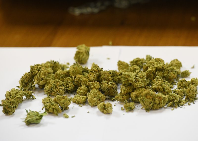 Zagrepčanin u podrumu zgrade skrivao više od dva kilograma marihuane