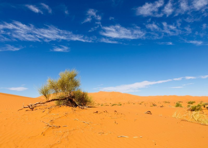 Jedno od najvažnijih razdoblja: Znate li zašto je i kada Sahara bila zelena?