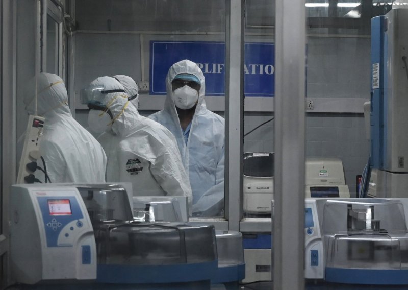 Smrtonosne majmunske boginje pojavile se u Europi: 'Ovo shvaćamo vrlo ozbiljno'