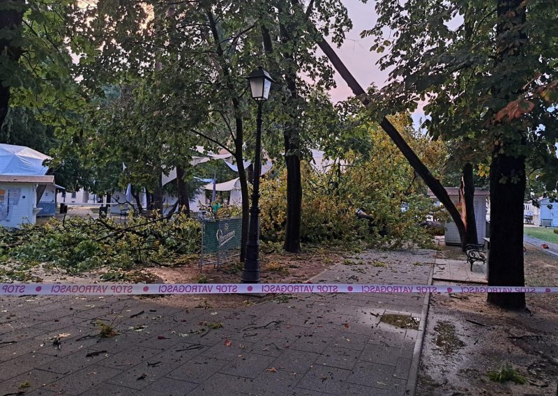 Nevrijeme poharalo Bjelovar, orkanski vjetar čupao stabla, dijelovi grada pod vodom