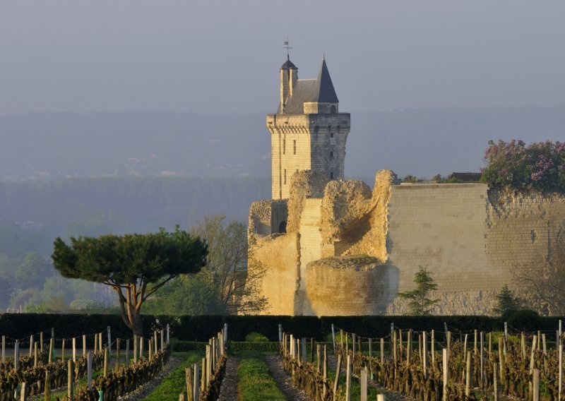 Makedonska vinarija Tikveš kupuje francusku vinariju Chateau de Gourdon